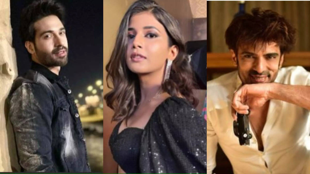 Christmas 2023: Samriddhi Shukla, Mohit Malik And Others Share Their X-Mas Plans