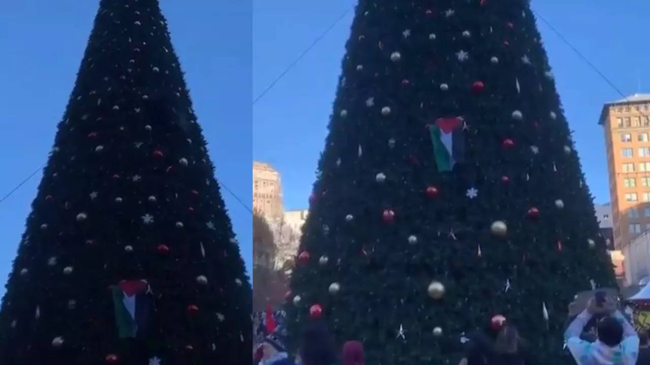 Pro-Palestine Protesters Scale Union Square Christmas Tree In San Francisco | VIDEO