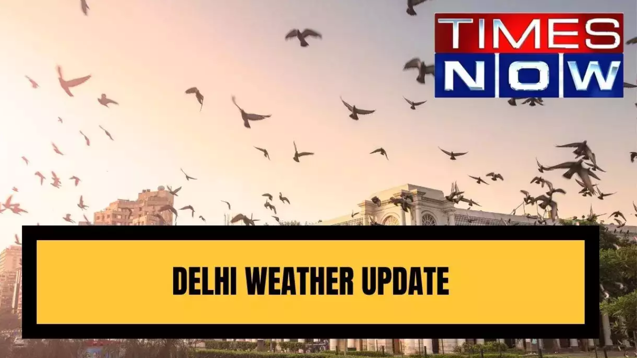 Delhi Weather Update