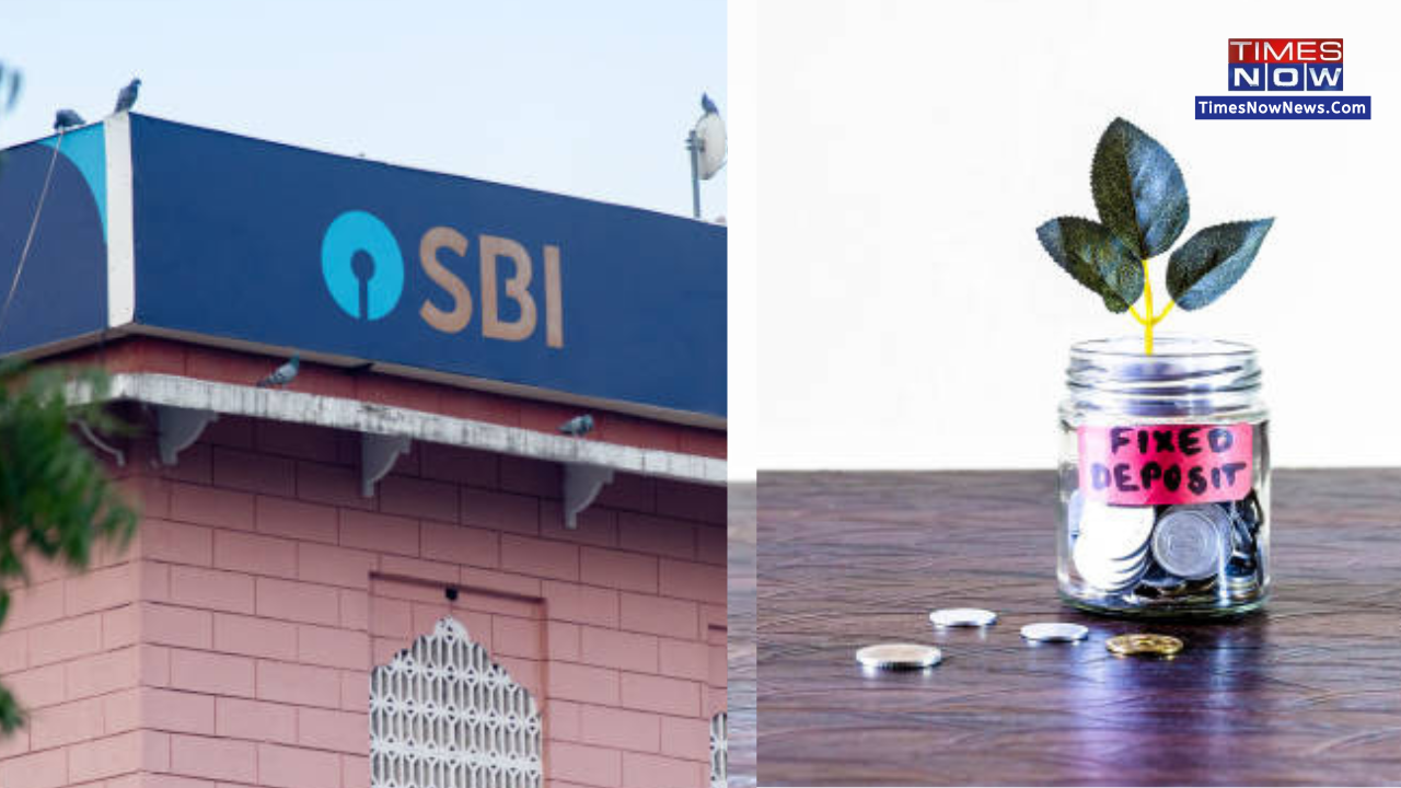 SBI Customers