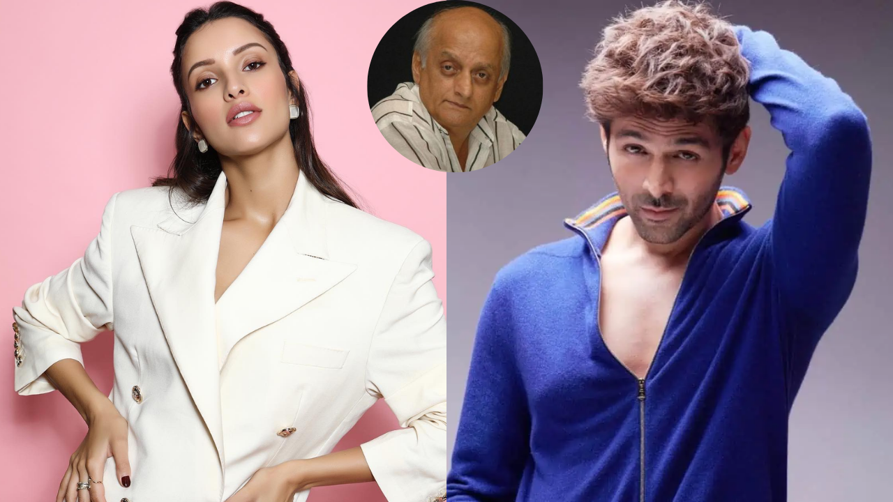 Aashiqui 3: Mukesh Bhatt Rubbishes Casting Of Triptii Dimri In Kartik Aaryan Starrer, Says 'Haven't Even Met This Lady'