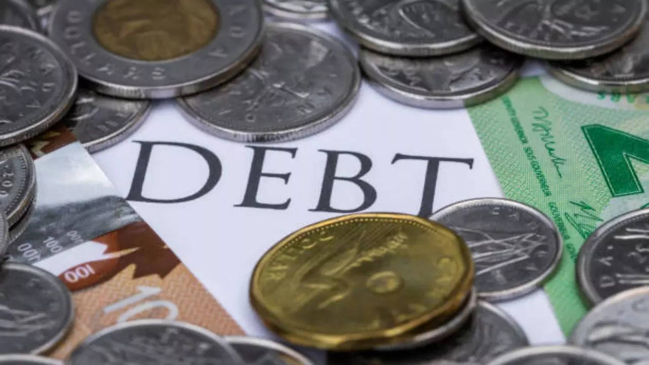 Budget: Understanding Public Debt and Its Components