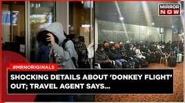 Shocking Details About Donkey Flight Out Travel Agent Says