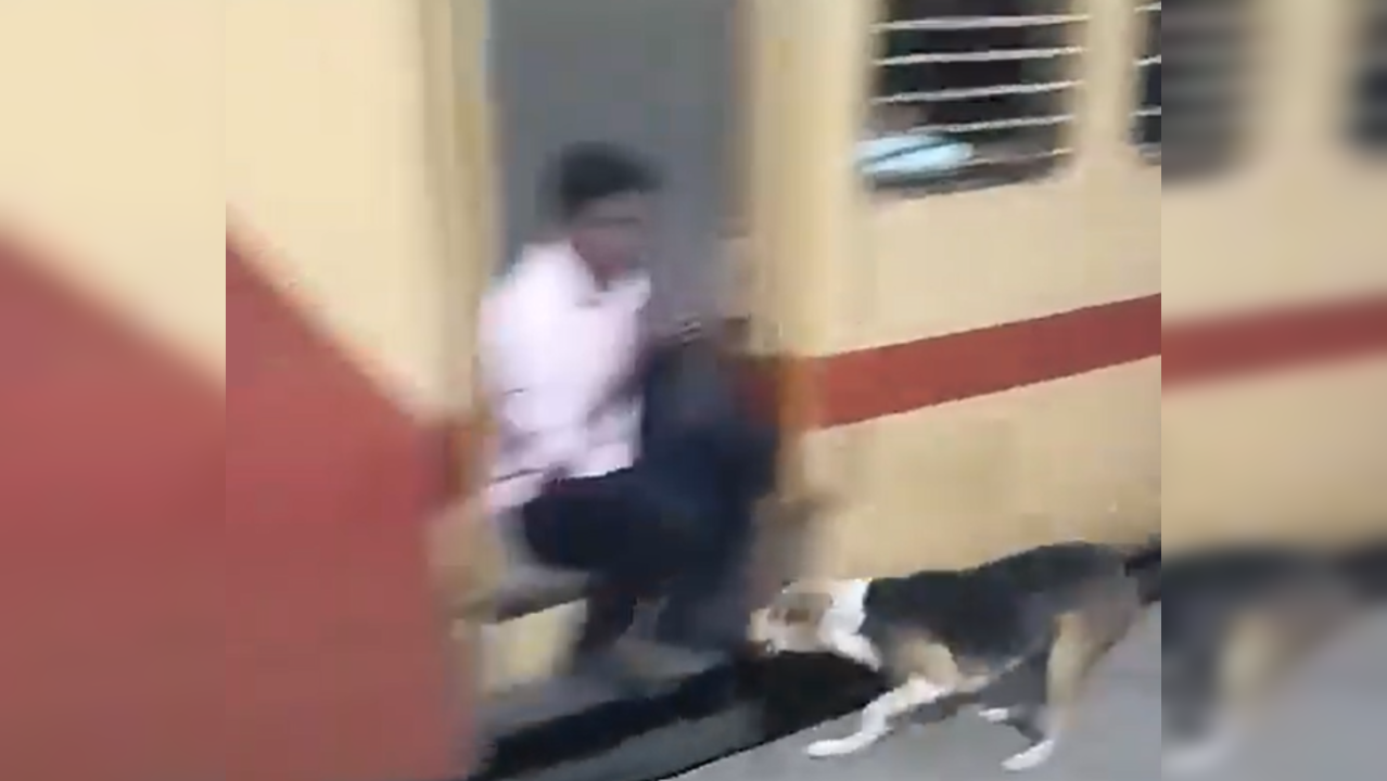 Indian Railways Footboard Travel Dog Police