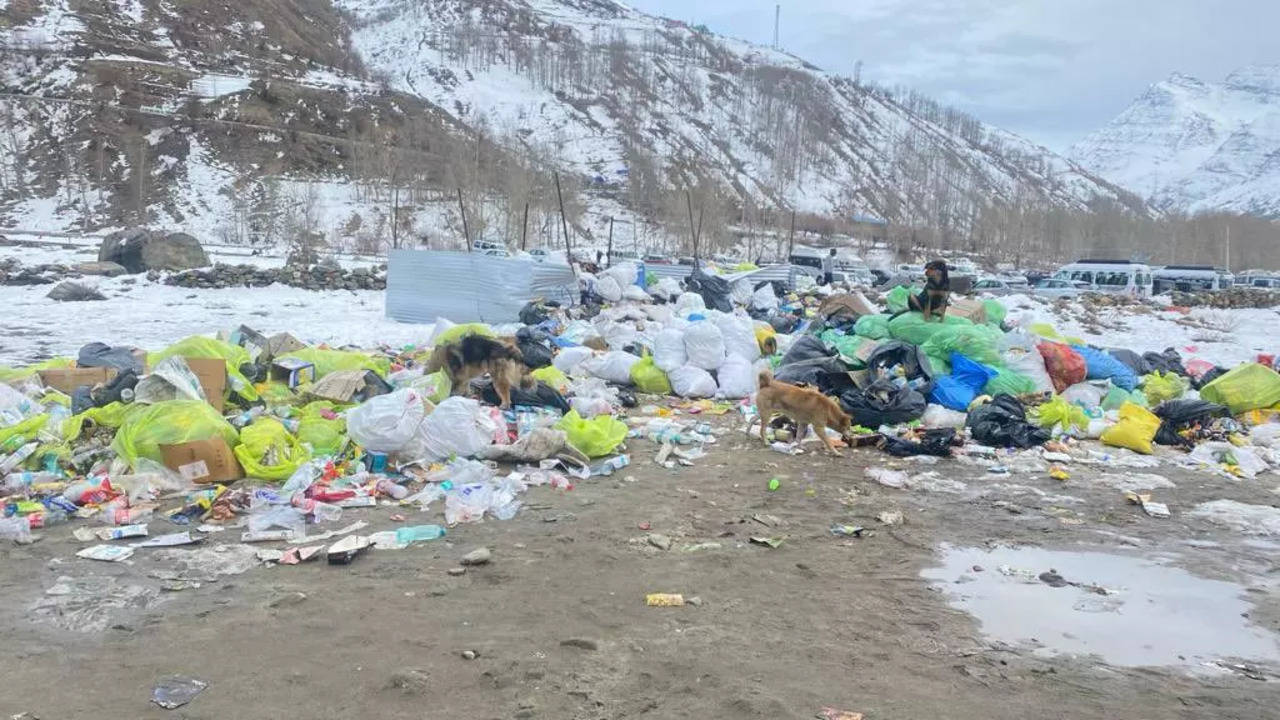 Garbage Pile Up Near Atal Tunnel.