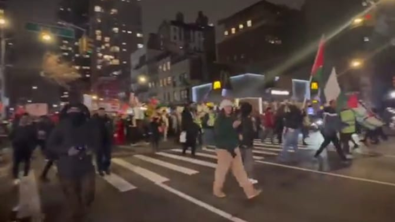 Pro-Palestinian Protestors In NYC