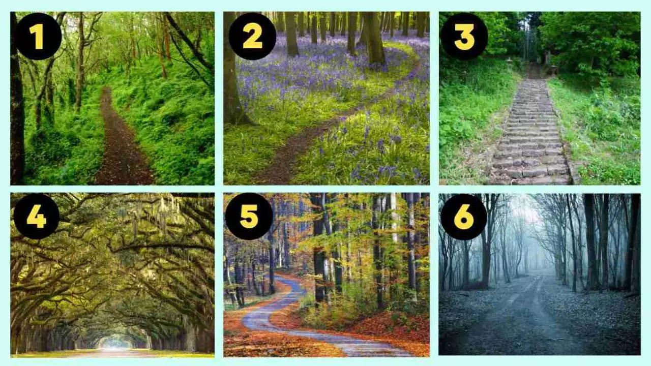 personality-test-choose-a-forest-path-and-it-can-reveal-your-hidden-personality-traits