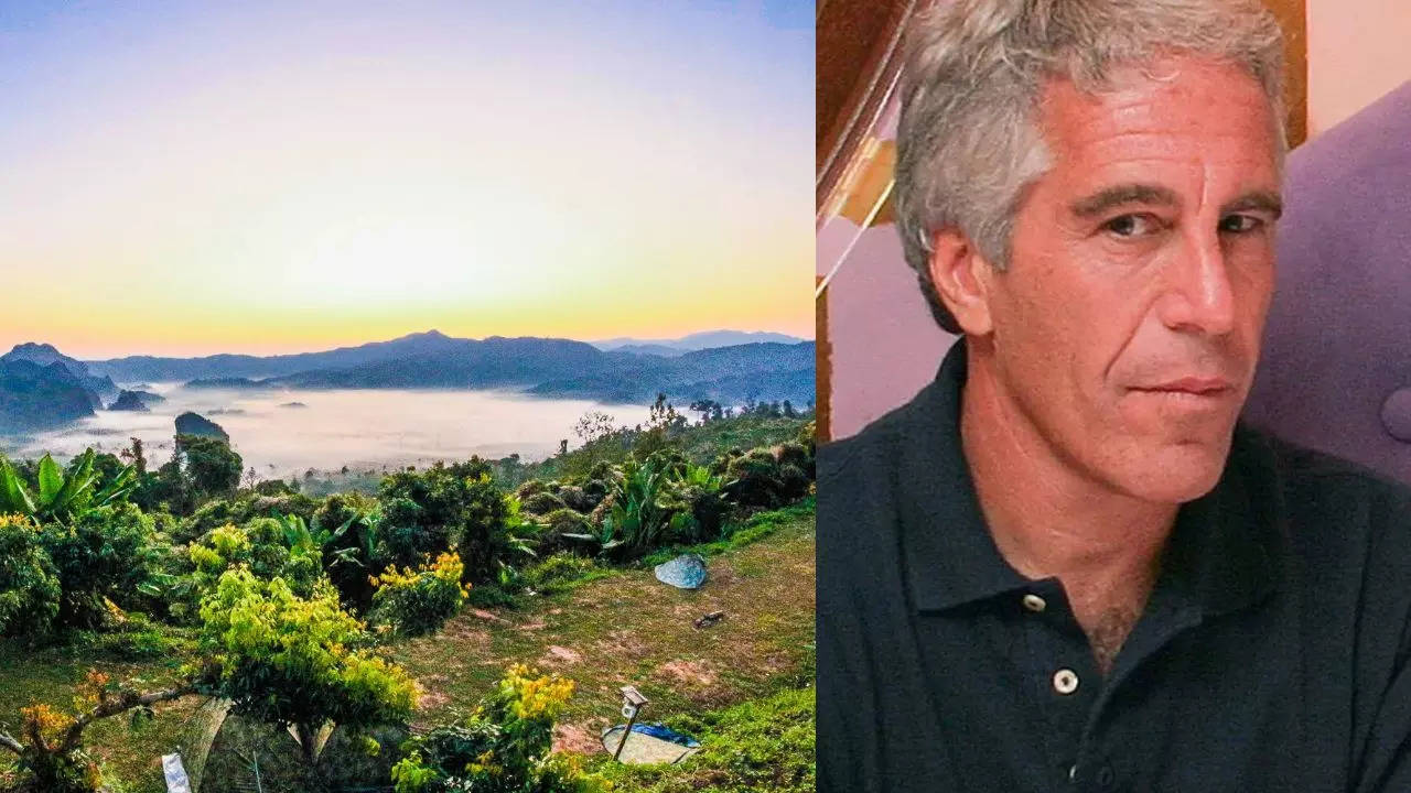 Jeffrey Epstein Net Worth, Parents, Career And More