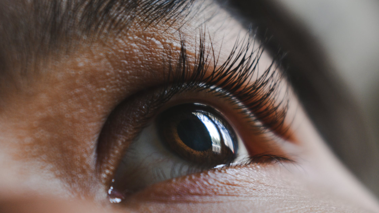 Understanding eyelash oiling