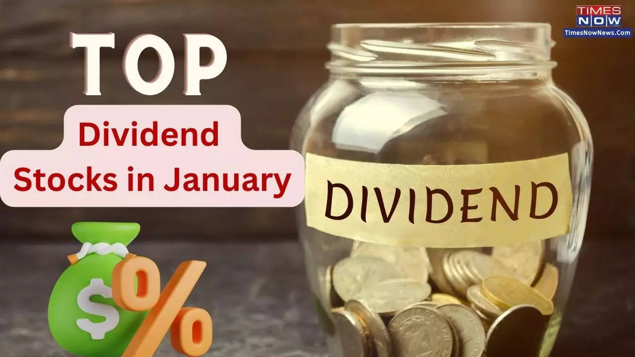 Top Dividend Stocks in January 2024 TCS, Shree Cement and More; Check