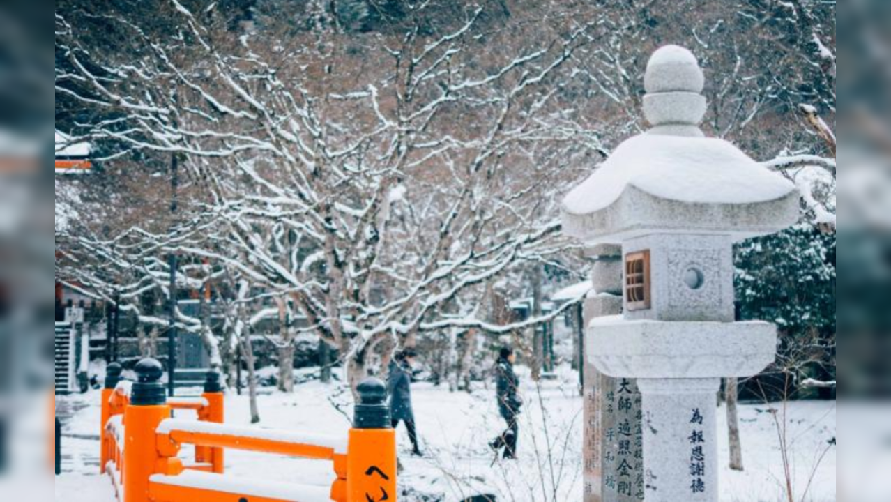 Snowfall Winter IN Japan