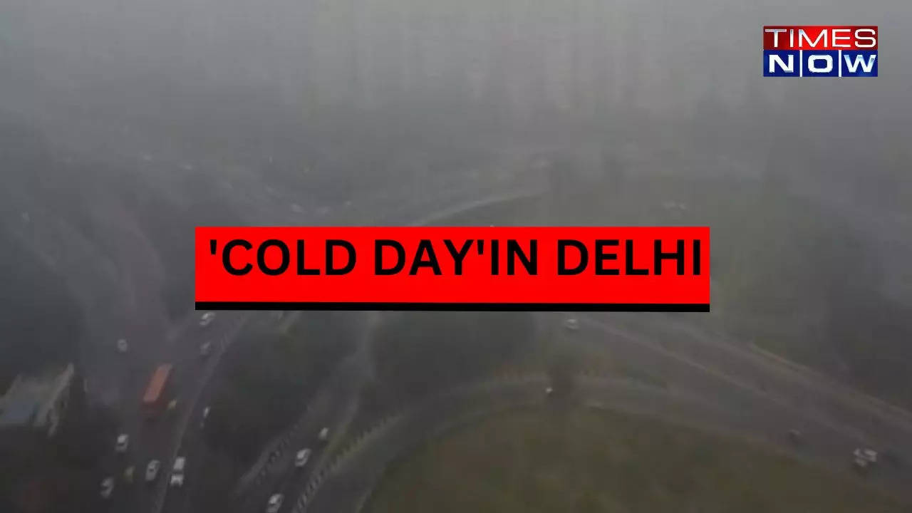 COLD DAY IN DELHI