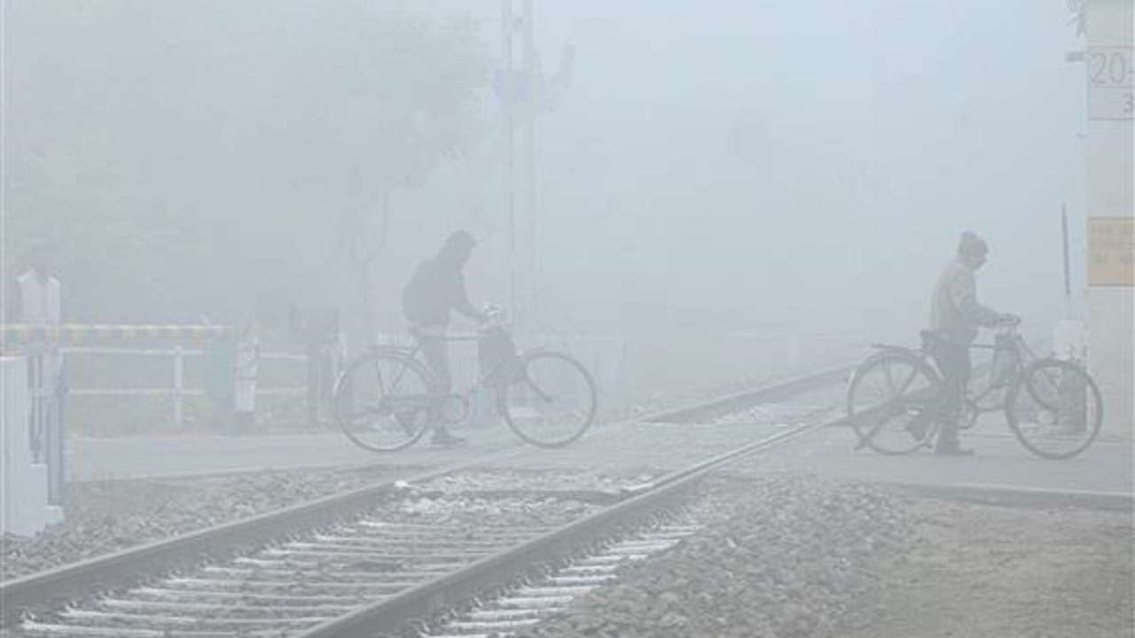 Haryana Cold Day Alert