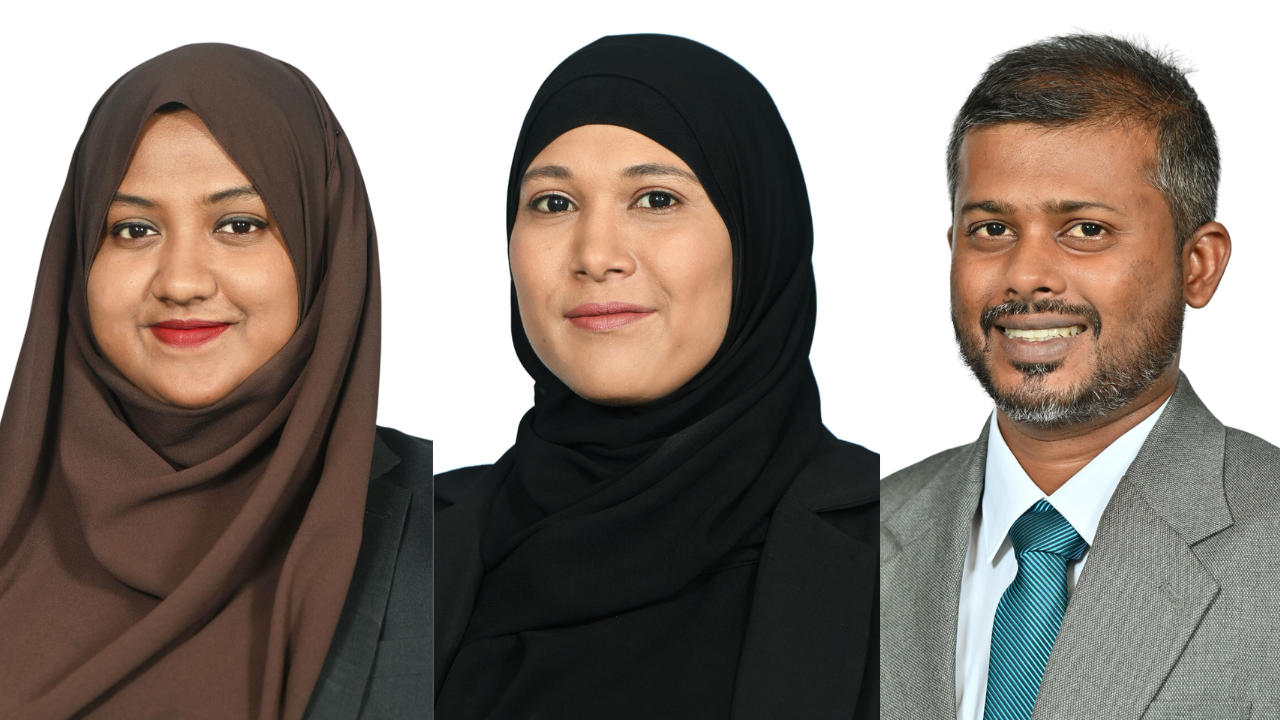 maldives ministers suspended