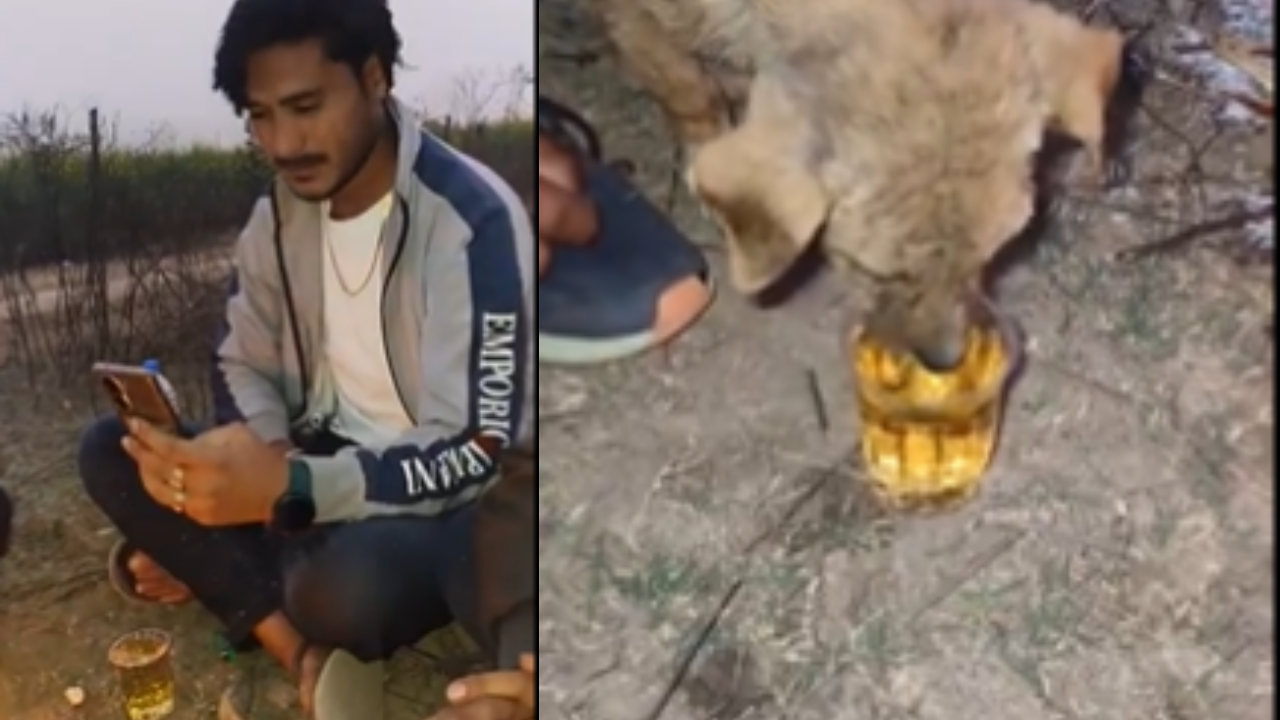 Video Surfaces of Men Allegedly Forcing Alcohol on Puppy in Rajasthan.