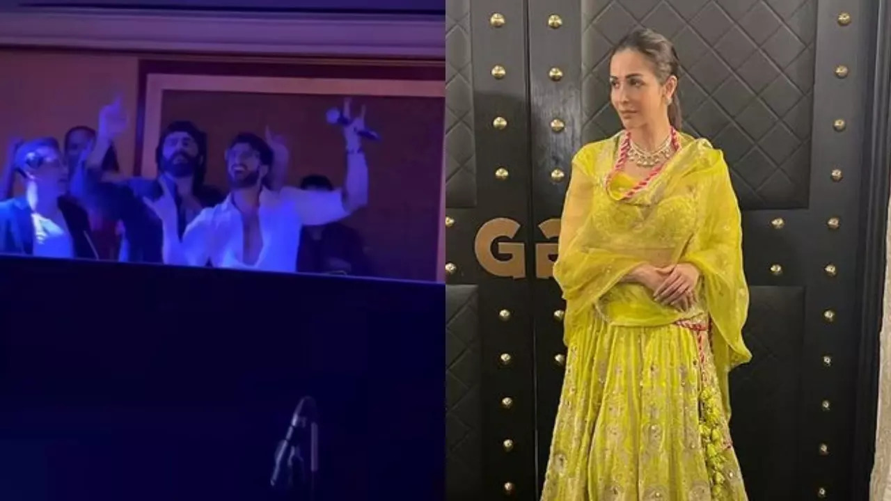 Ranveer, Arjun Set Dance Floor On Fire, Turn Djs At Friend's Wedding. Malaika Calls Them 'Coolest'