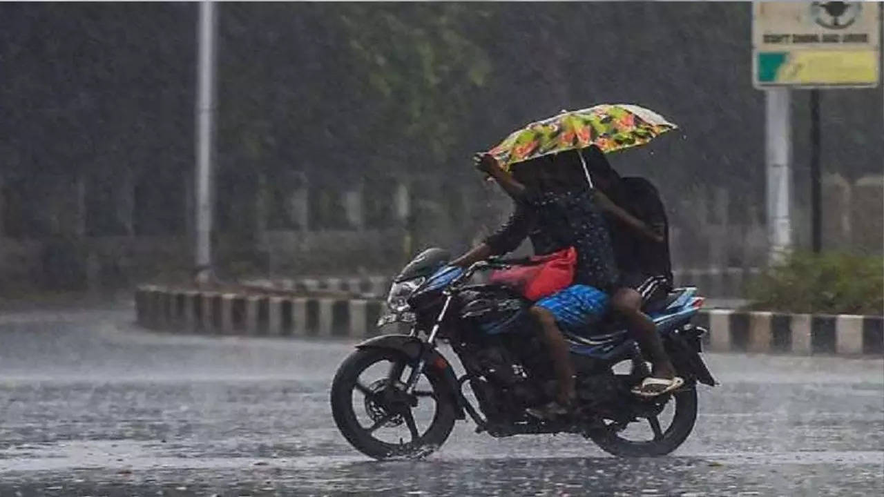 Chennai Rains  Weather Highlights Rain Damages Books Puts Publishers in Tight Spot at Chennai Book Fair