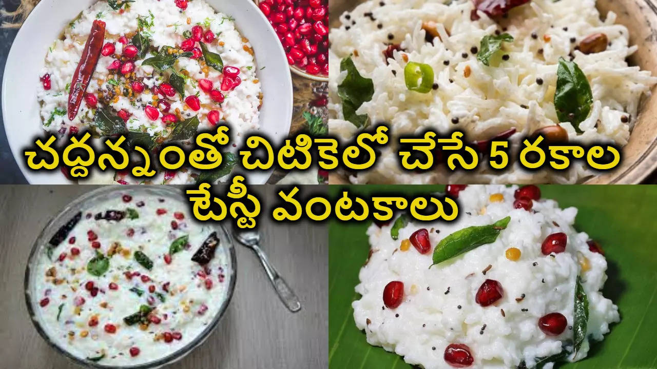 curd rice