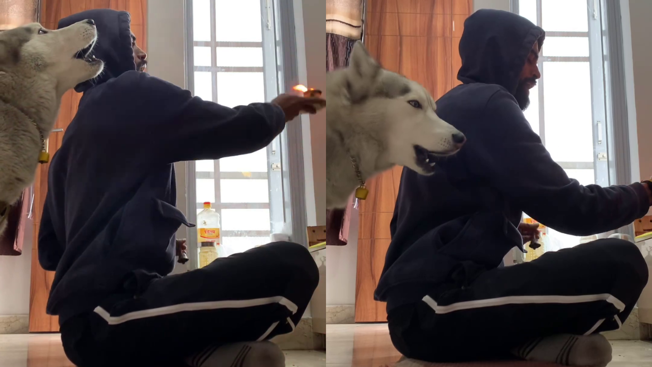 Viral Video: Husky Joins Man’s Pooja Session, Sings Aarti To Lord Shiva