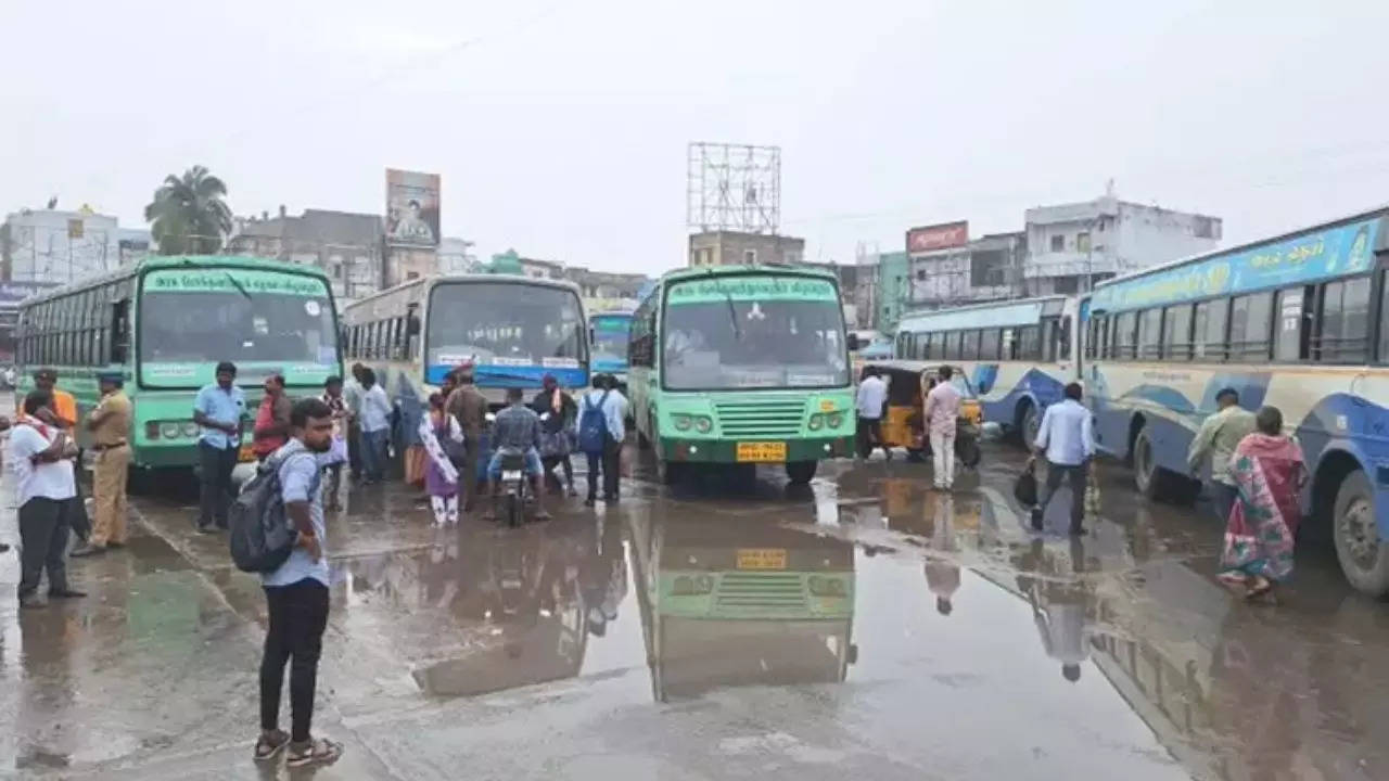 Bus sTrike