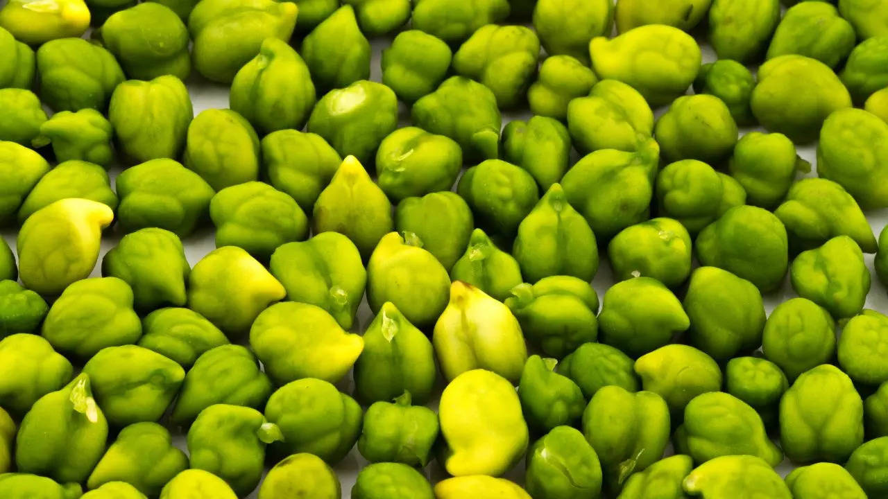 Green Chana: Savour The Flavour Of Winter Special Choliya Or Green Chana On  Your Plate