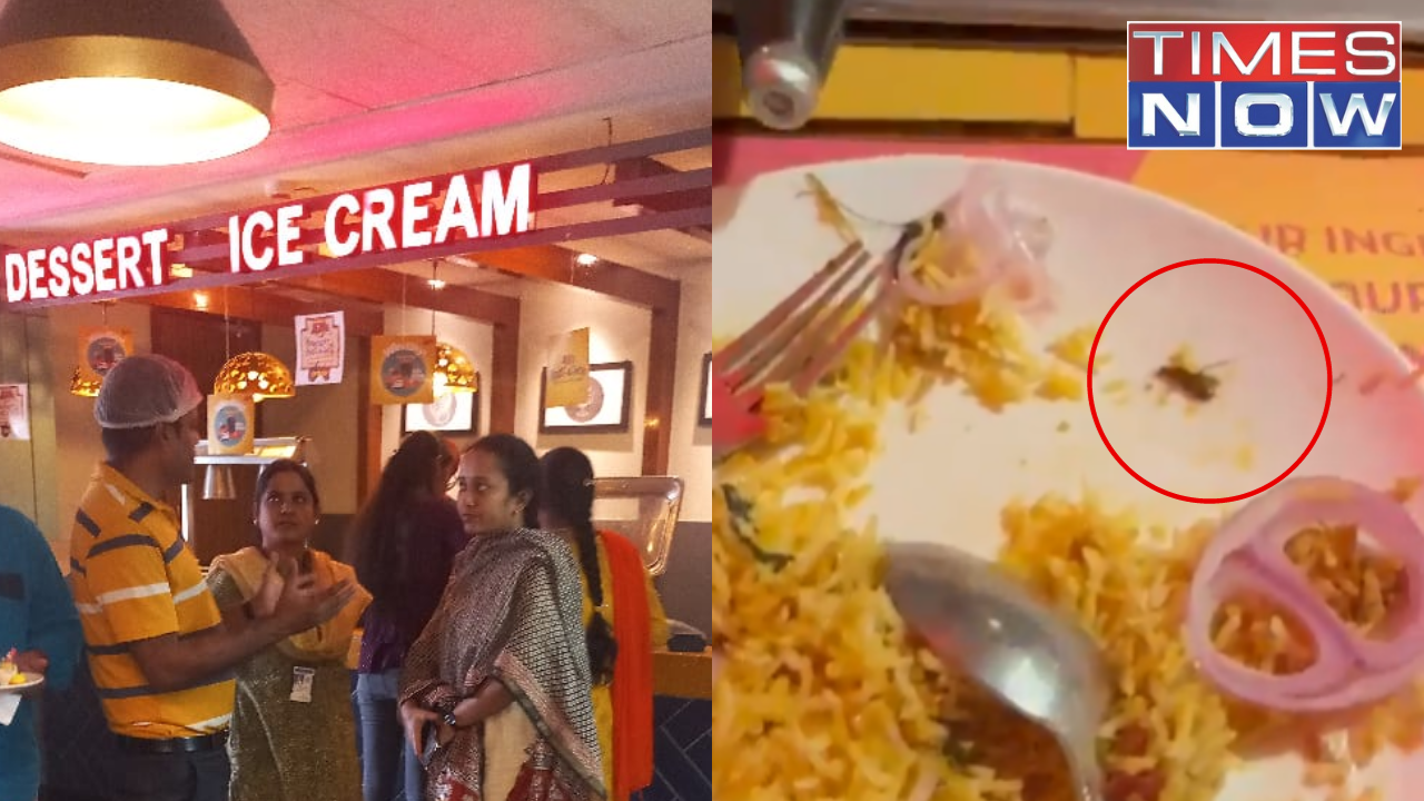 Hyderabad: Dead Cockroach Found in Biryani Served at Buffet Restaurant