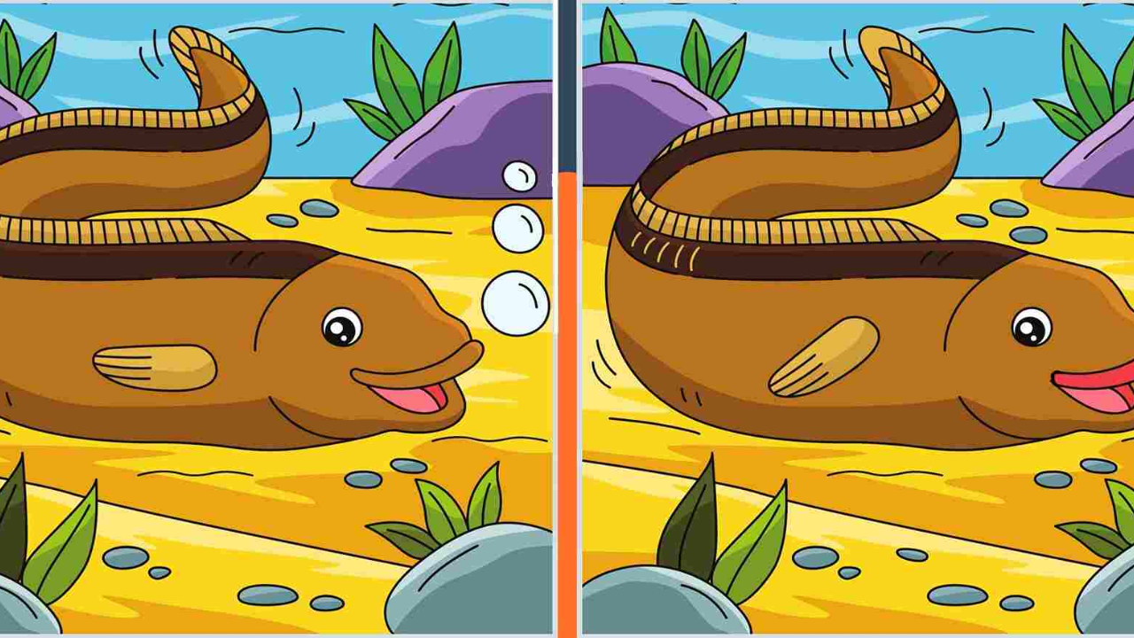 Puzzle: Spot Eight Differences.