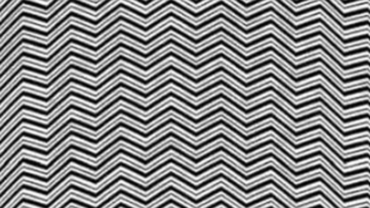 Optical Illusion Personality Test: Can You Find The Hidden Animal In Between These Lines?