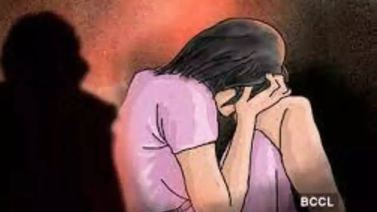 'survived thinking about daughter': woman, gang raped by 7 in karnataka, shares horrifying details