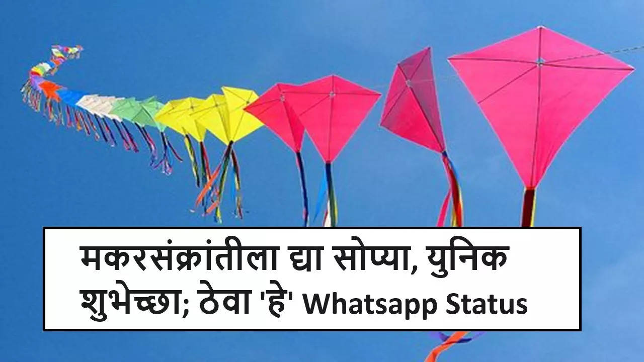 Makar Sankranti Whatsapp Status