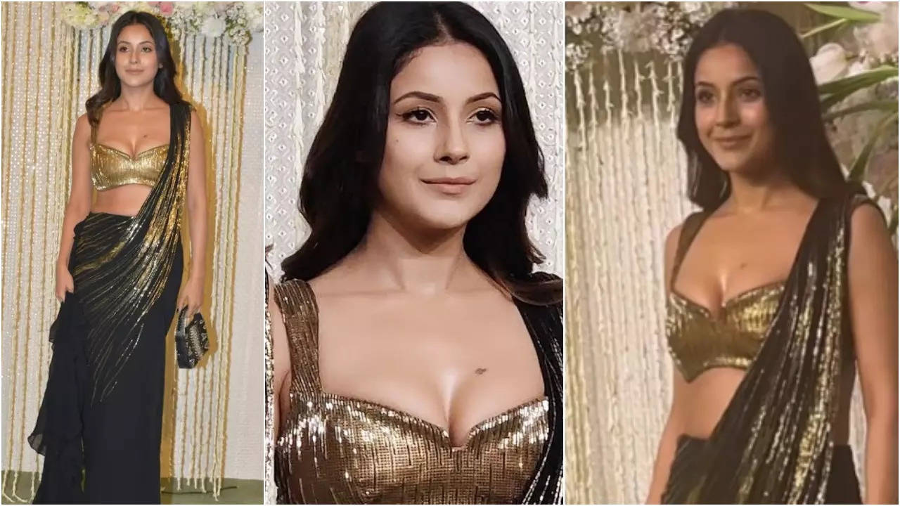 Shehnaaz Gill Steals The Spotlight In Glittering Saree At Aamir Khan's Daughter Ira Khan's Reception (credit: Instagram).