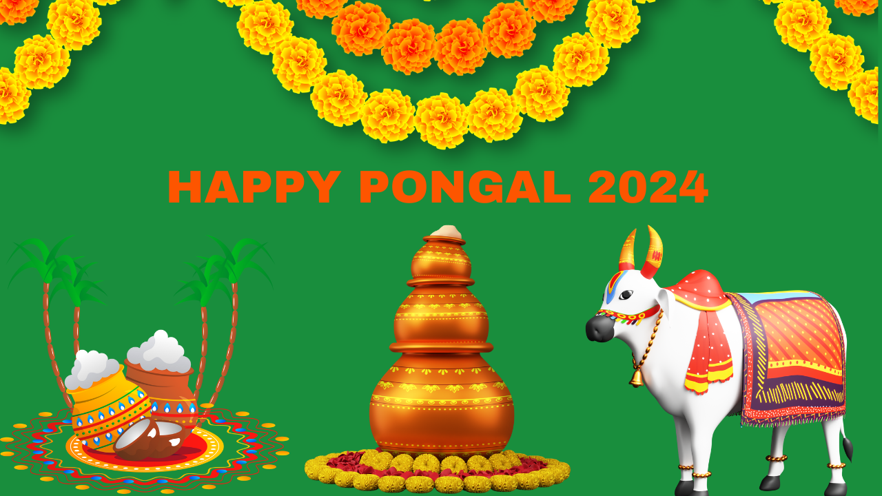 Happy Pongal 2024 Wishes, Messages, Quotes, Images To Send On This