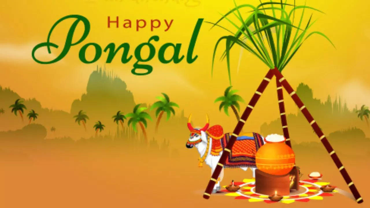 Pongal Wishes In Tamil உங்கள் அன்புக்குரியவர்களுக்கு பொங்கல் வாழ்த்து சொல்லியாச்சா 5405