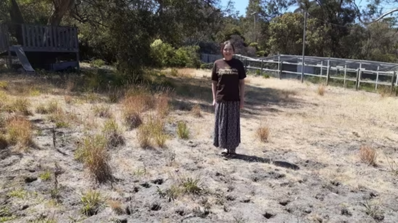 Kathleen Murray standing on her lawn that won the World’s Ugliest Lawn competition.