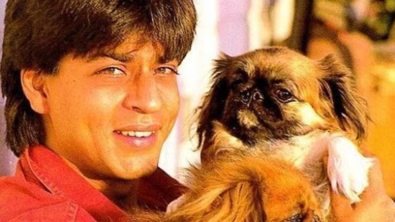 Shah Rukh Khan Teared Up After Excavating His Pet Dog's Grave Late At Night, Reveals Gauri Khan's Uncle