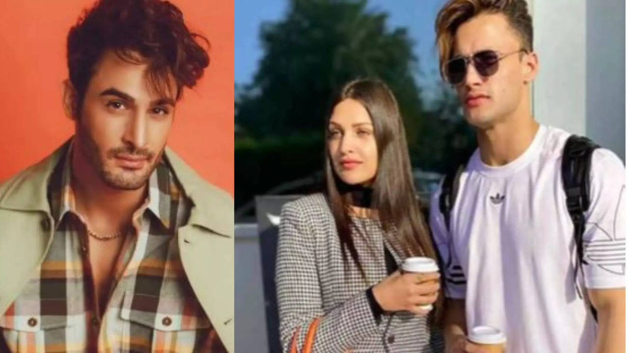 Umar Riaz Breaks Silence On Brother Asim Riaz, Himanshi Khurana's Breakup: 'Being Together Was Difficult...'