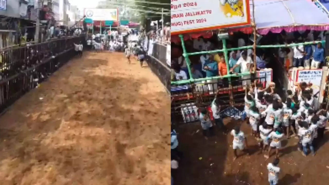 Jallikattu_Tamil Nadu