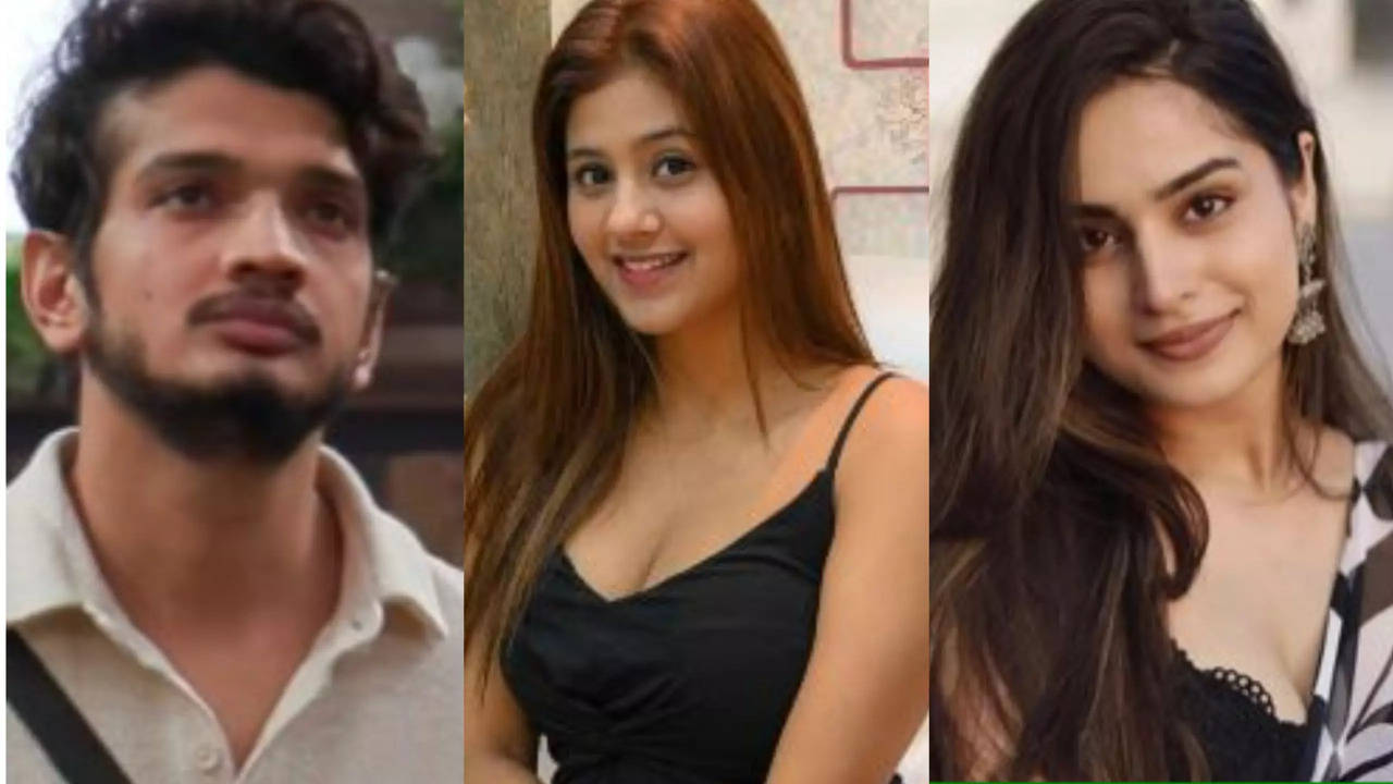 Munawar Faruqui Confirms Sending Rishtas to Anjali Arora, Ayesha Khan On Bigg Boss 17