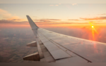 No Pilot No Food 17-Hour Delay Passenger Recounts Harrowing Experience On Air India Flight