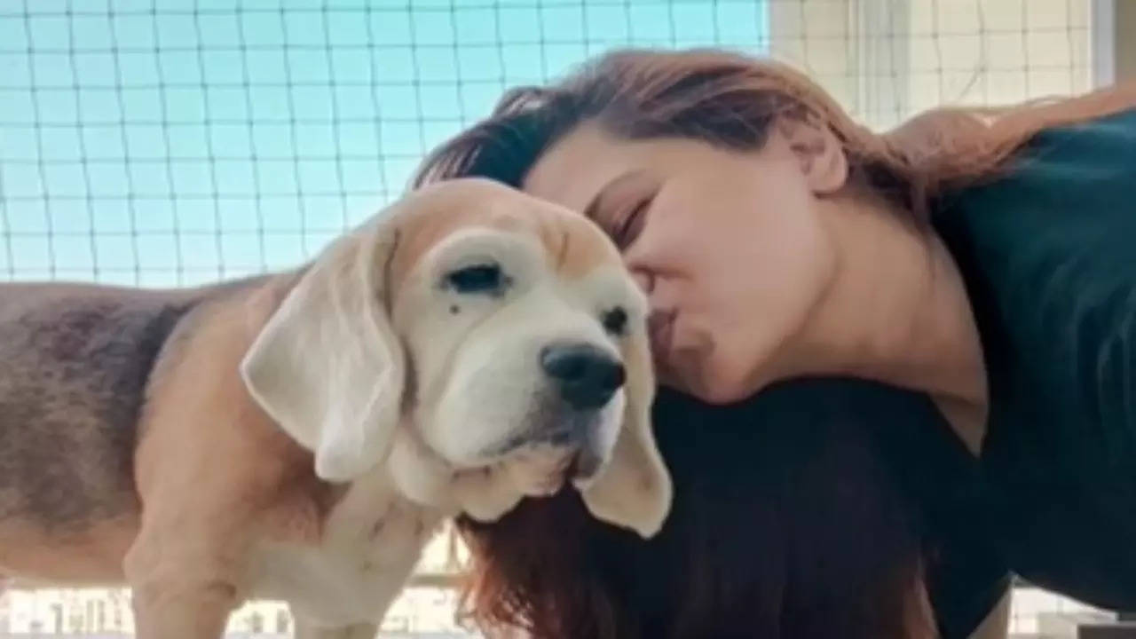 Kratika Sengar’s Pet Dog Passes Away