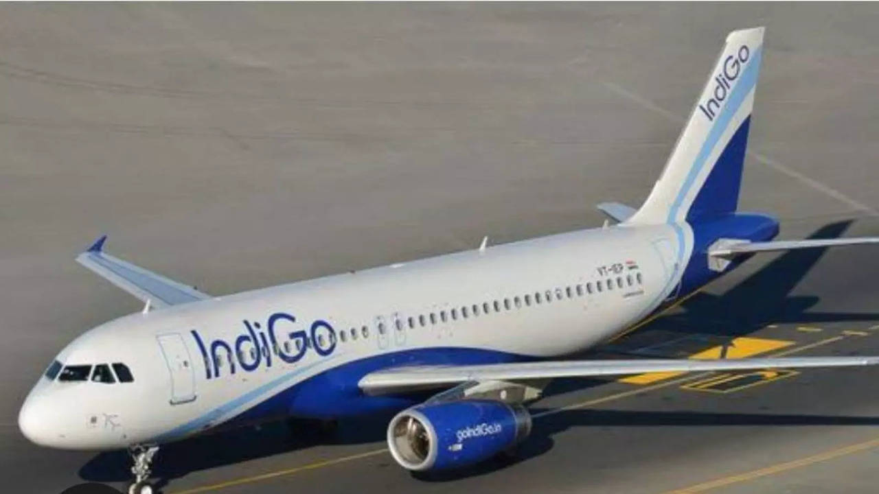 IndiGo Pilot Physically Assaulted By Passenger for Announcing Delay in Flight