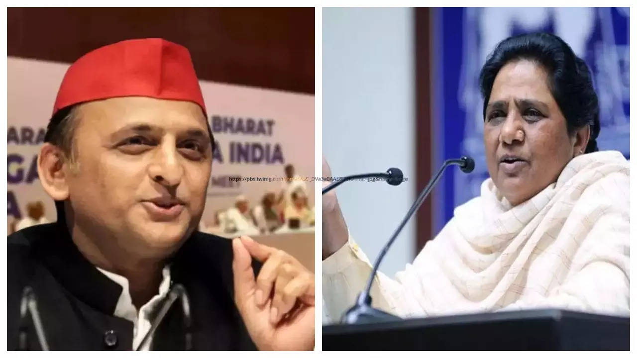 Samajwadi Party Chief Akhilesh Yadav Responds To Mayawati's 'Chameleon' Jibe