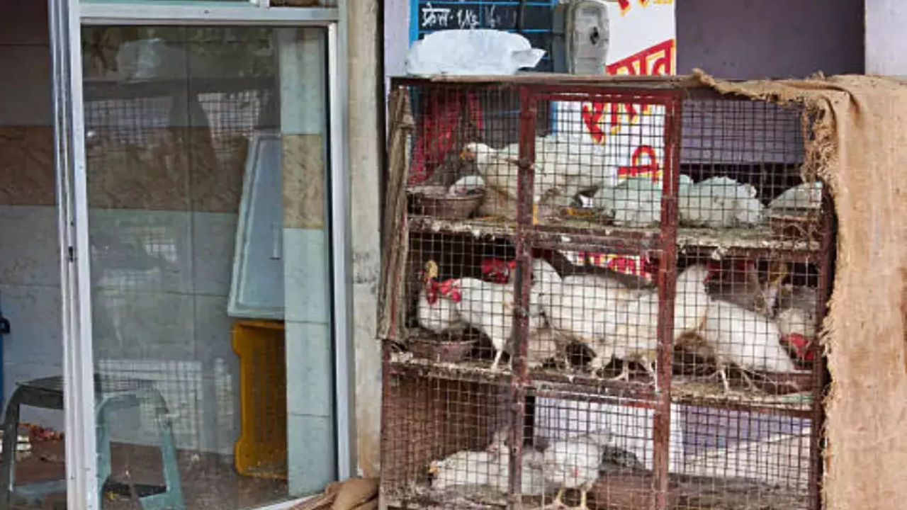 Ban On Meat Sale In Pune On Jan 22. (Representational Image)