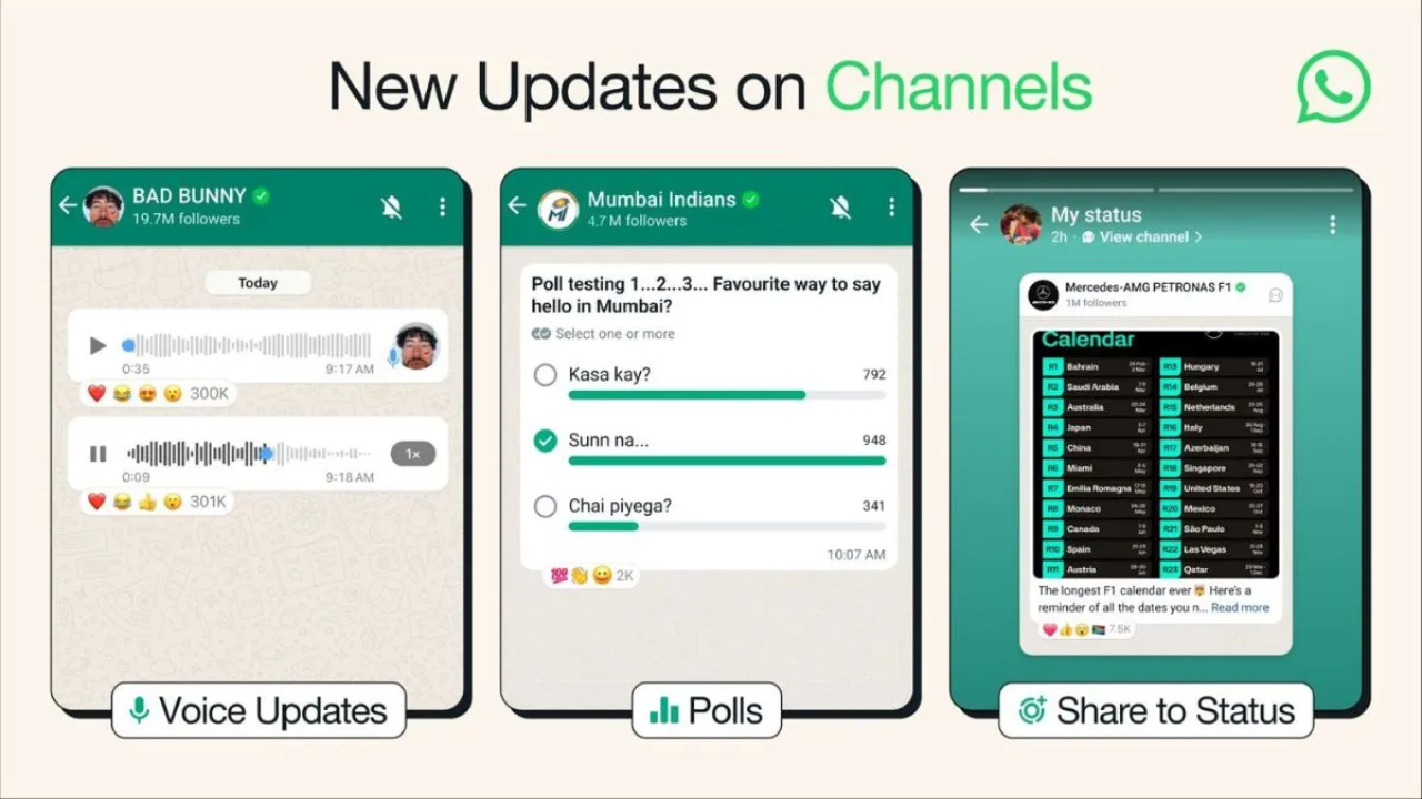 WhatsApp Channels