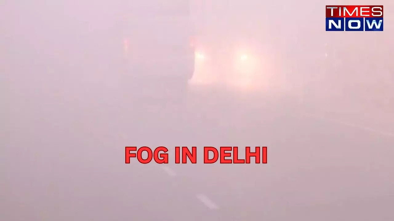 FOG IN DELHI