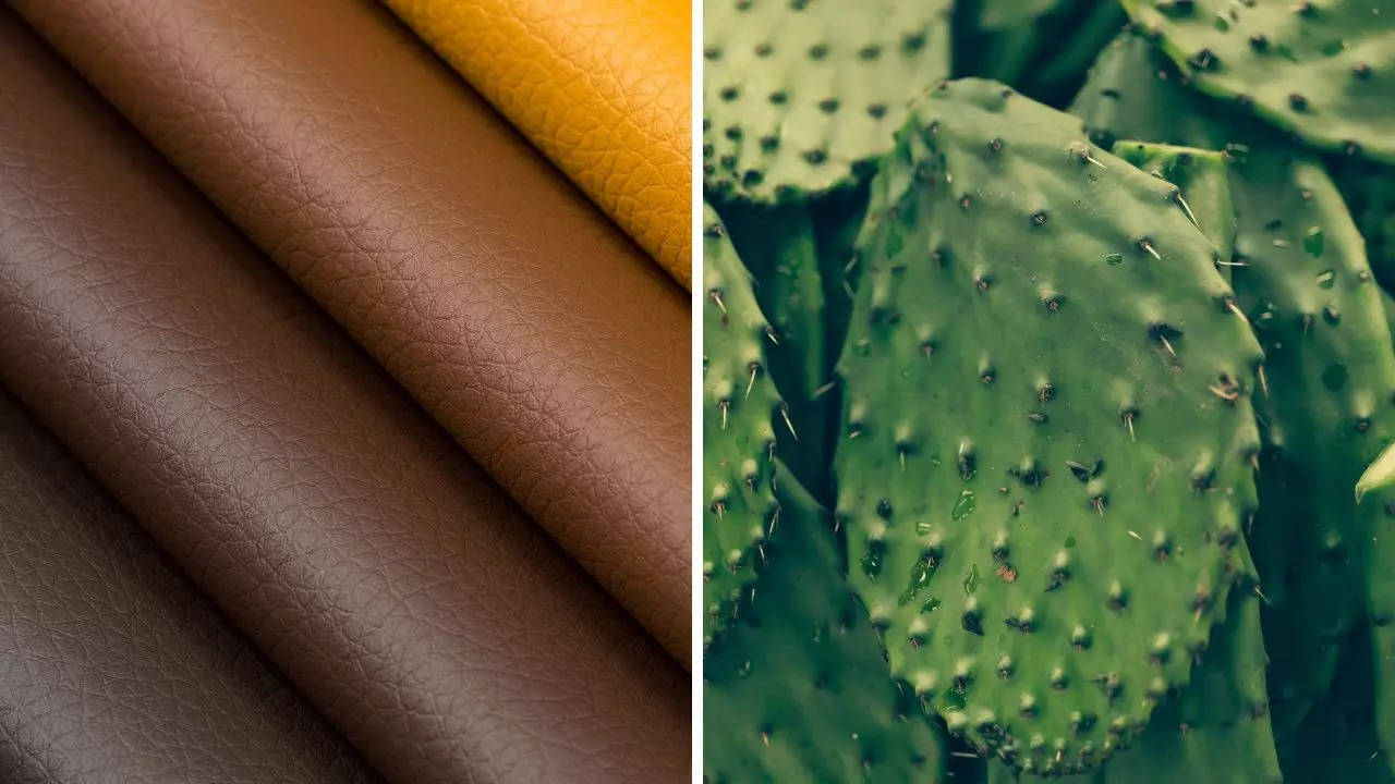 Sustainable Fashion: Heard About Cactus Leather?
