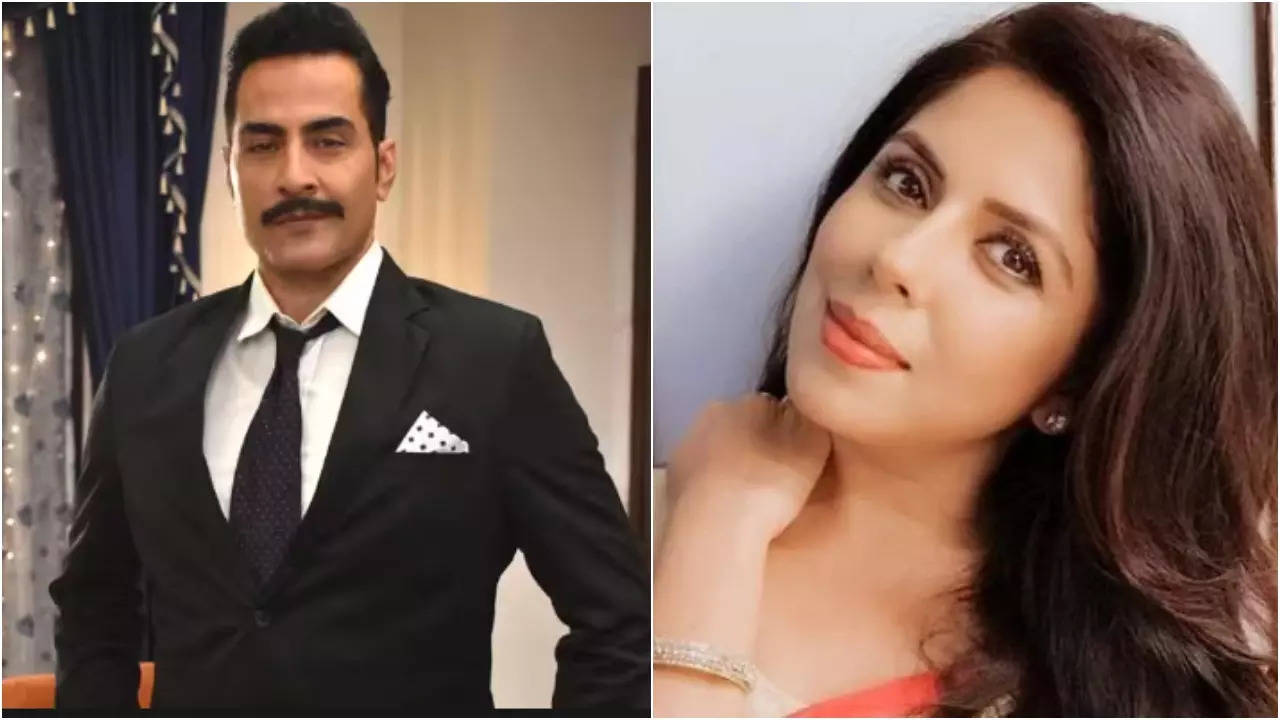 TV Newsmakers Today: Anupamaa's Sudhanshu Pandey On Rescuing Snakes; Raymon Kakkar In Rabb Se Hai Dua