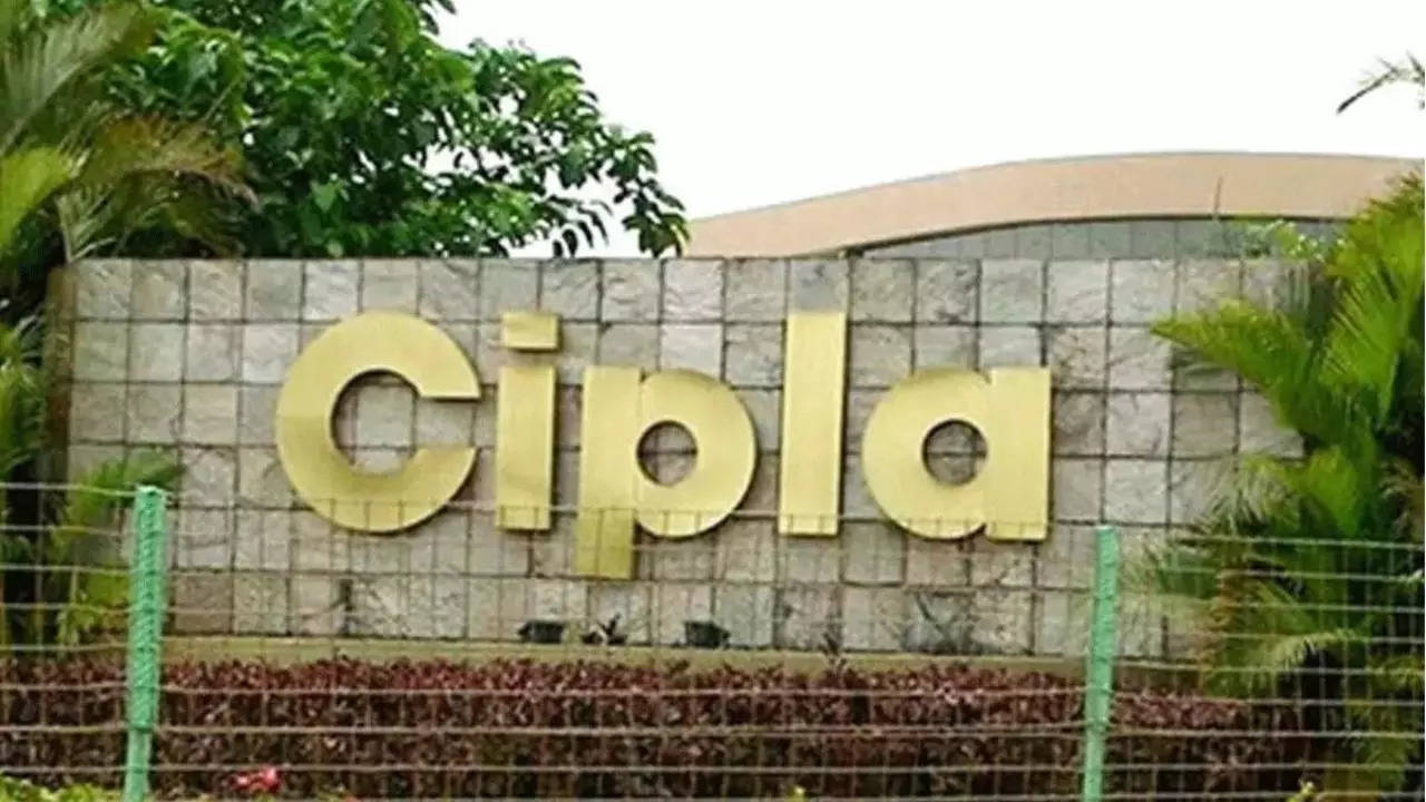 Cipla stocks jump over 7 pc after earnings announcement