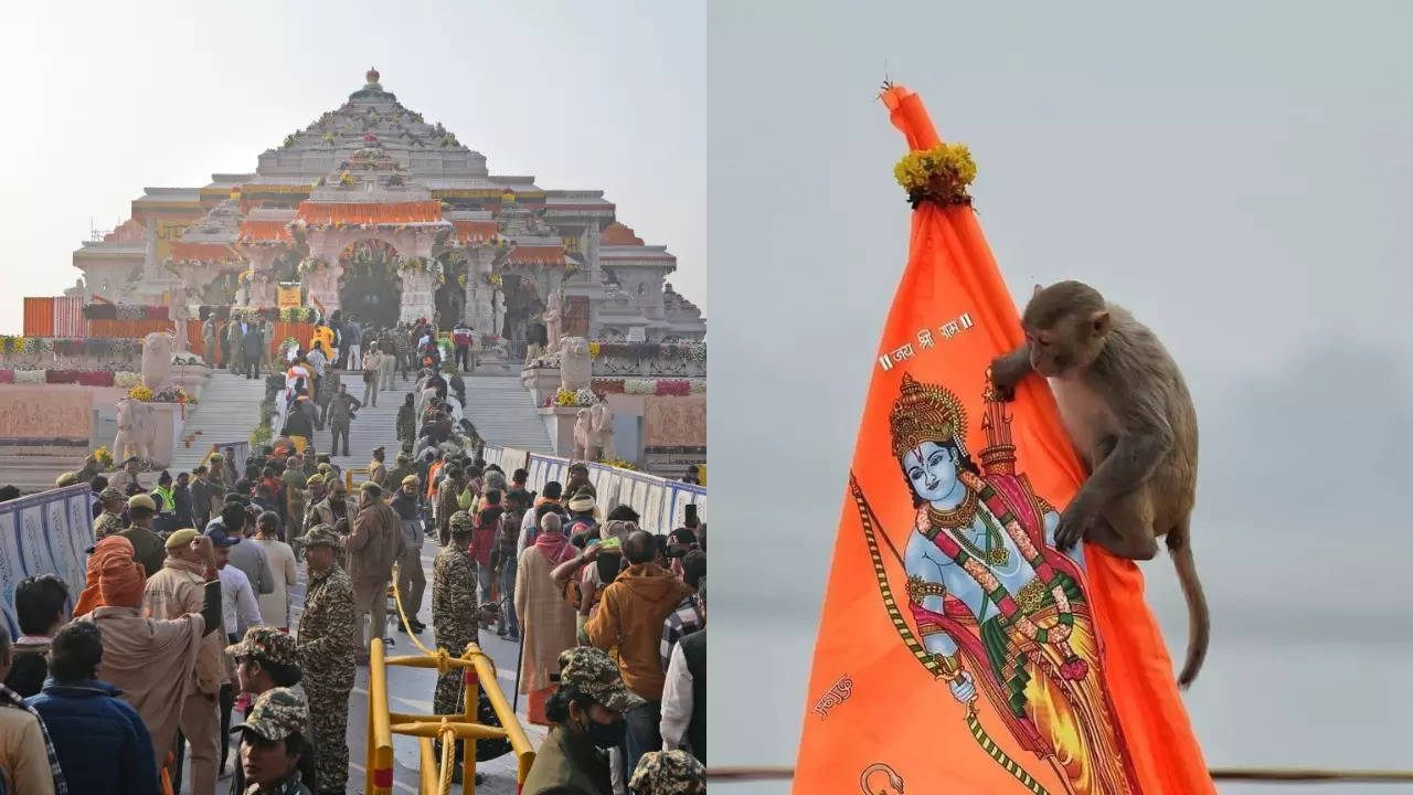 A monkey snuck into the Ram temple's sanctum sanctorum on Tuesday. | Courtesy: Rajesh Kumar Singh/AP