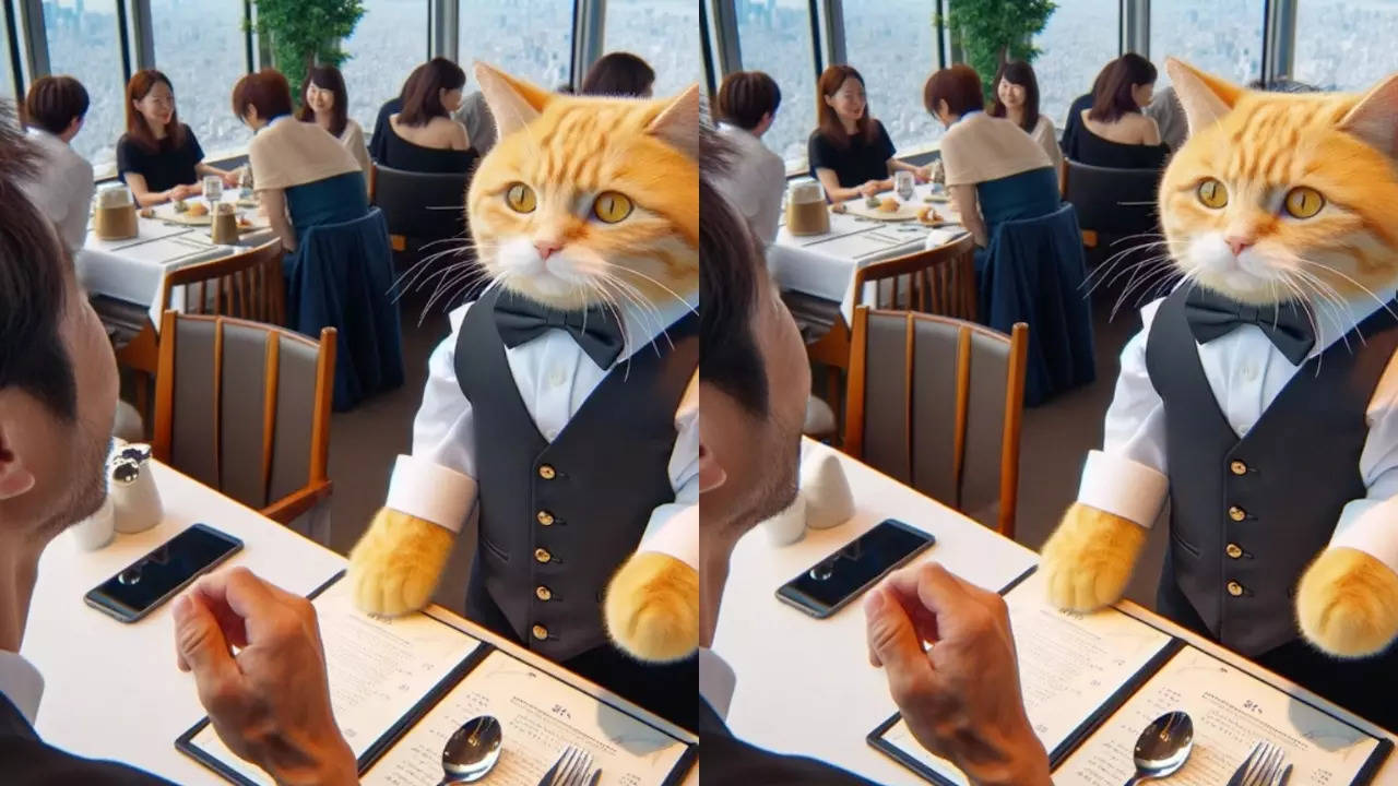 Can you spot the differences before cat time runs out? | Credit: Youtube